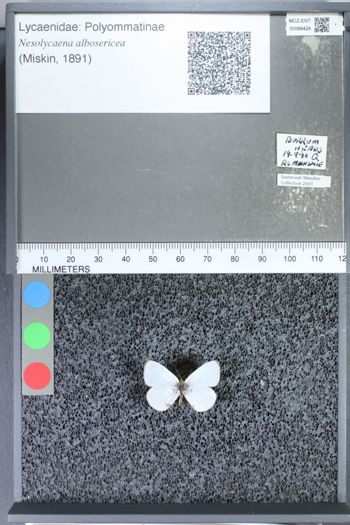 Media type: image;   Entomology 66429